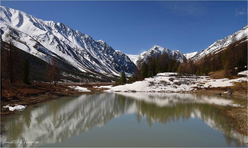 Горный алтай Весна в долине Актру фото превью