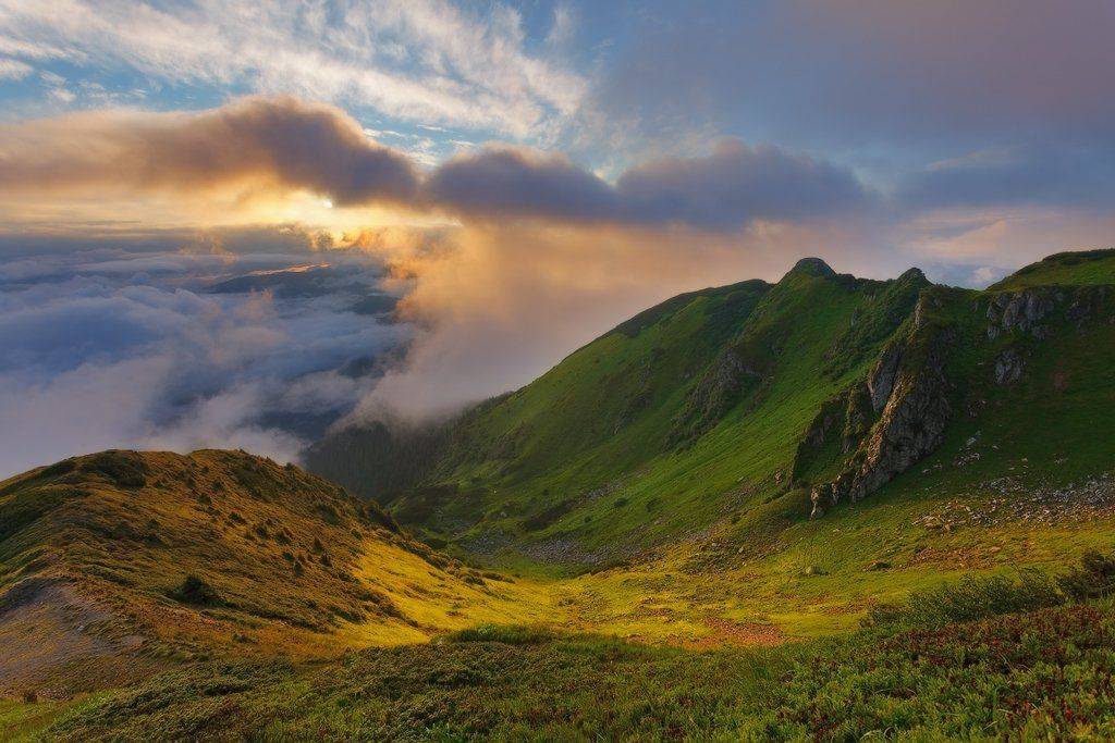 , Ярослав Тюрменко (Jaremi)