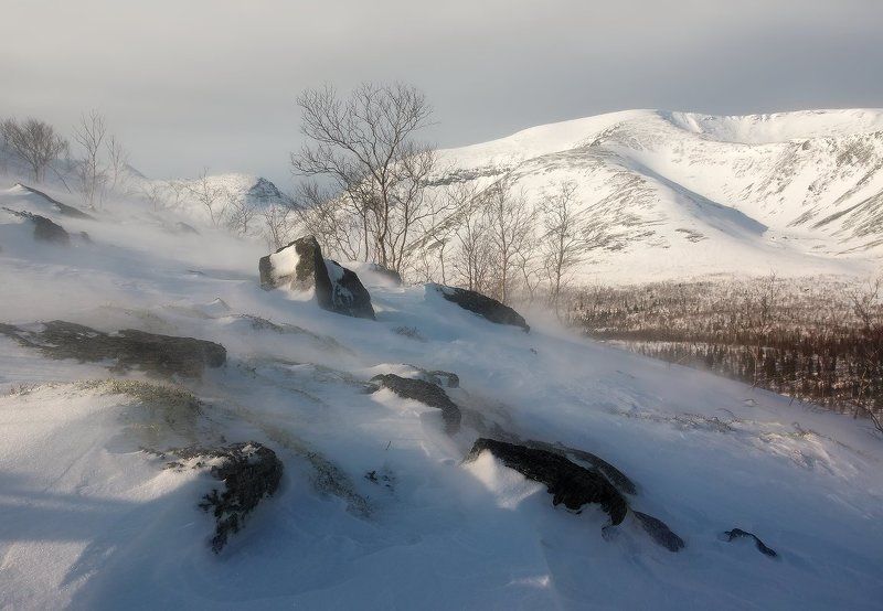 хибины Снежный ветер фото превью