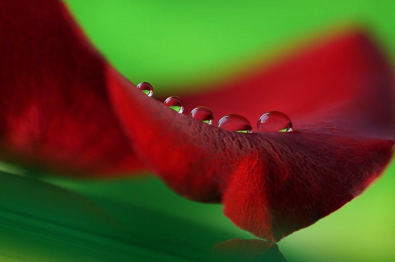 Изгибы фото превью