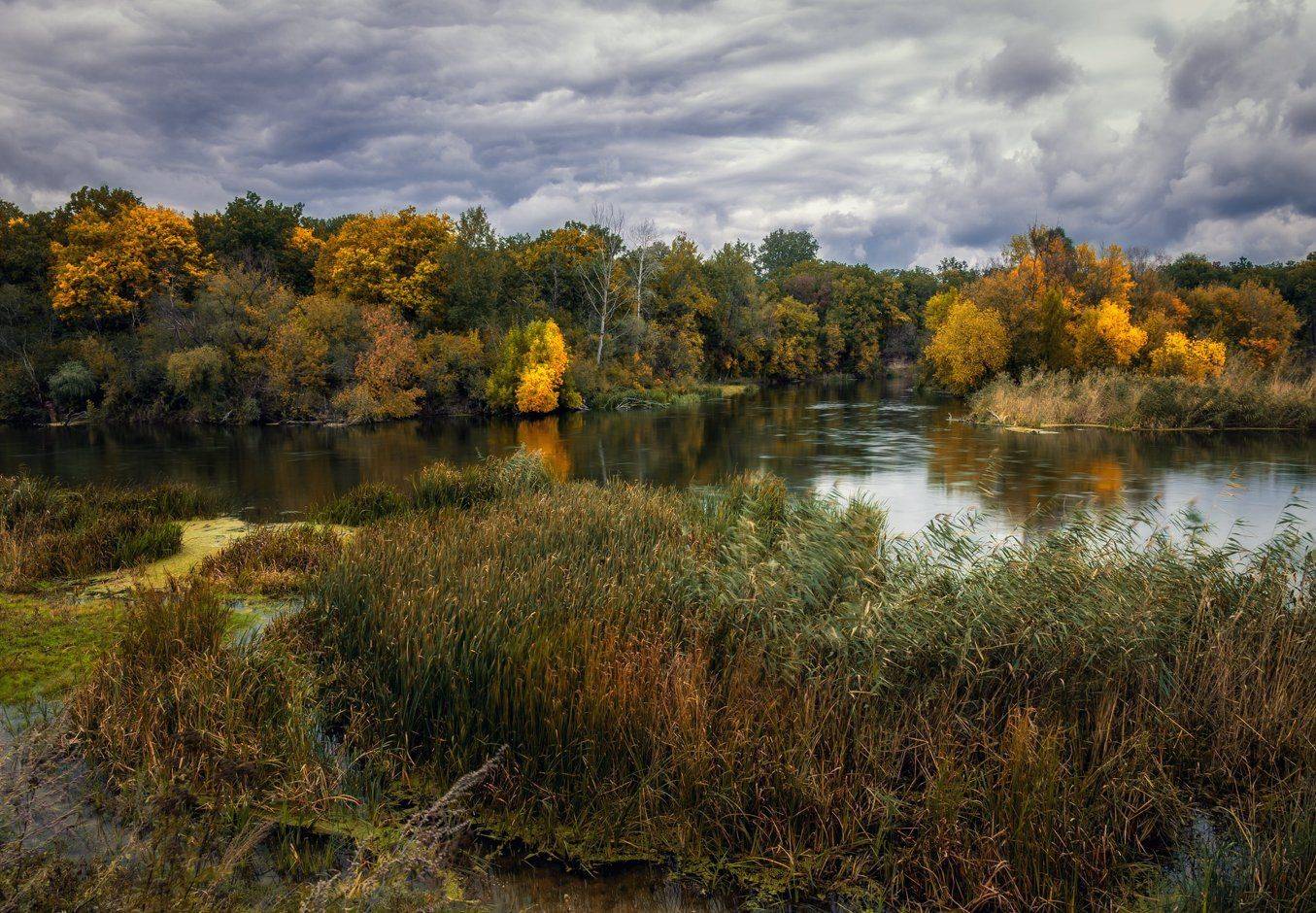 , Игорь Мелекесцев