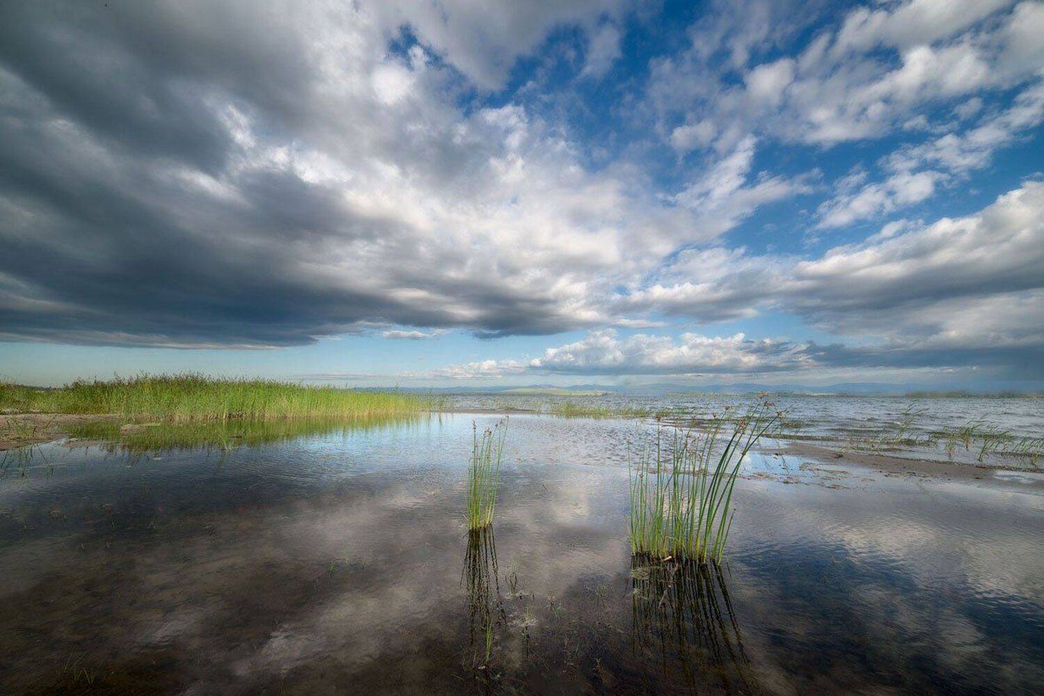 , Сергей Брагин