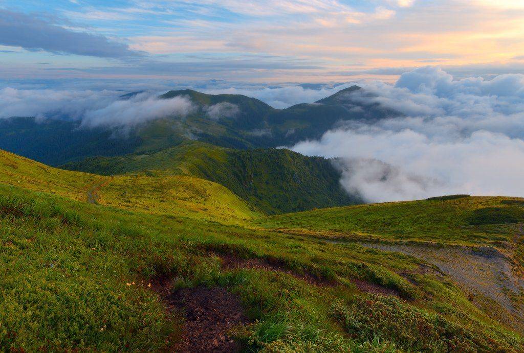 , Ярослав Тюрменко (Jaremi)