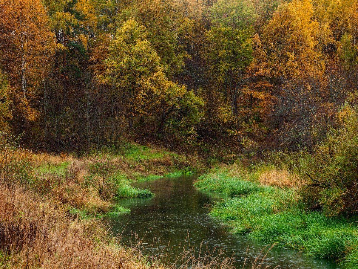 , Владимир Перепечаев