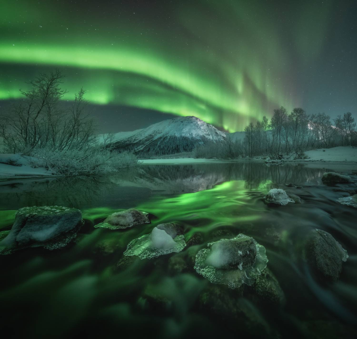 кольский, Андрей Грачев