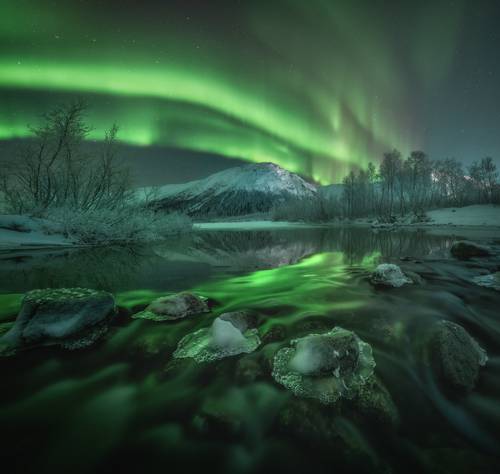 Цвет заполярья.