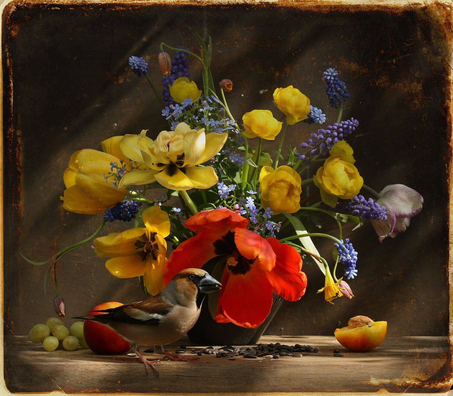 дубонос, Хромушин Олег