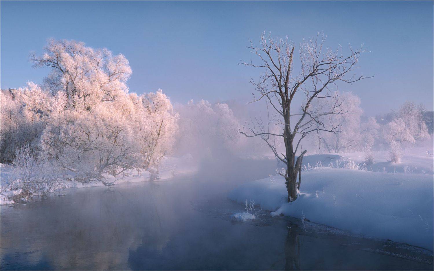 , Алексей Богорянов