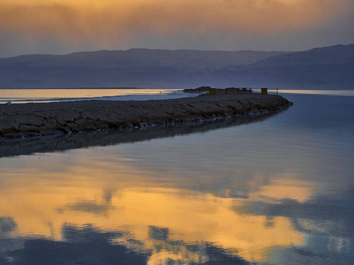 , David Solodar