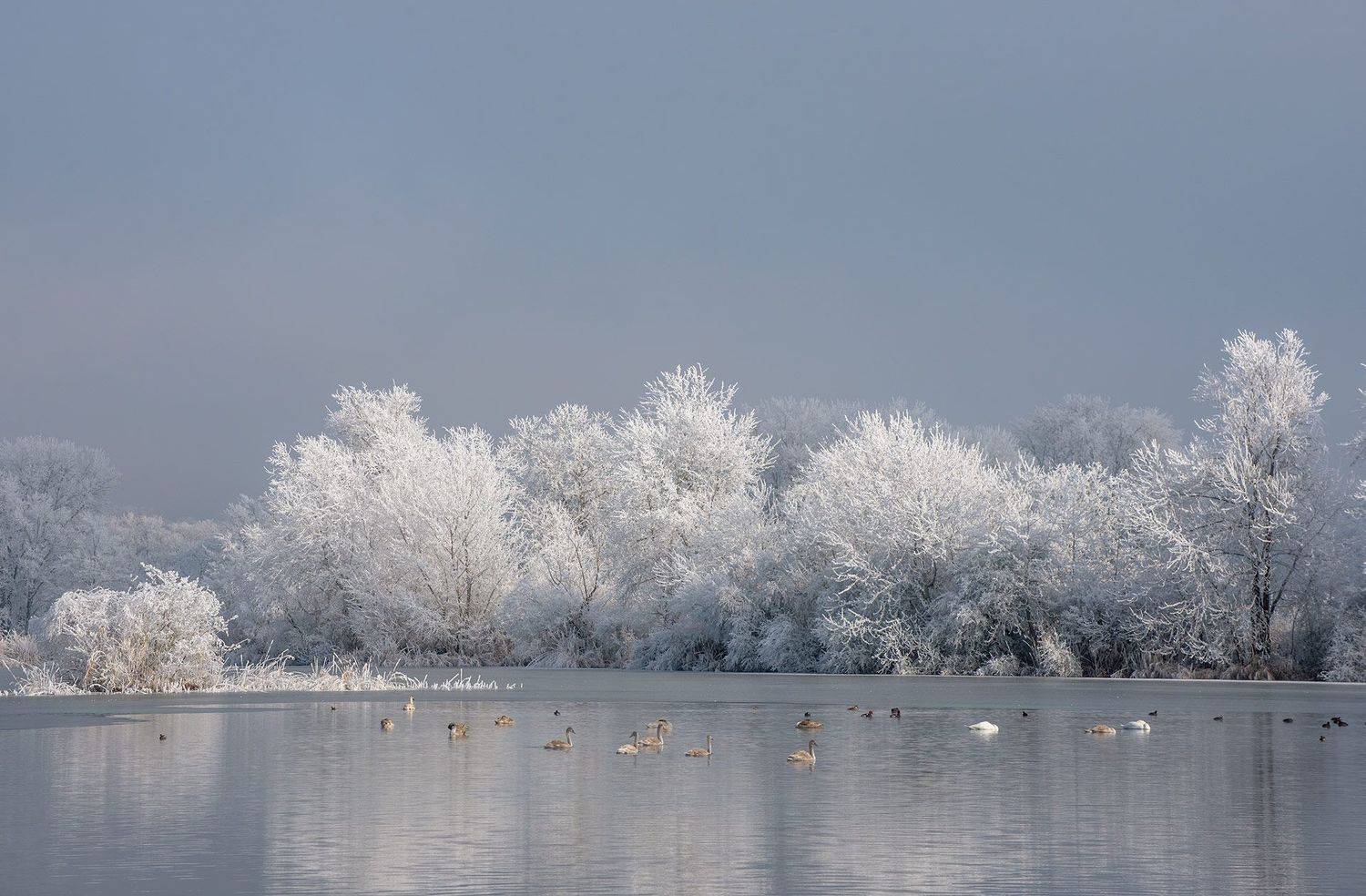 , Хасан Журтов