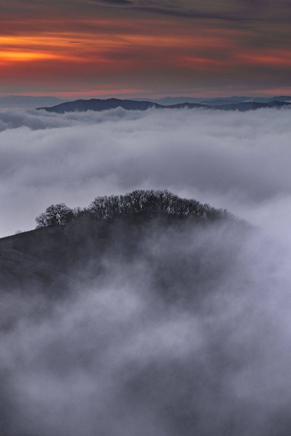 , Андрей Кривцов