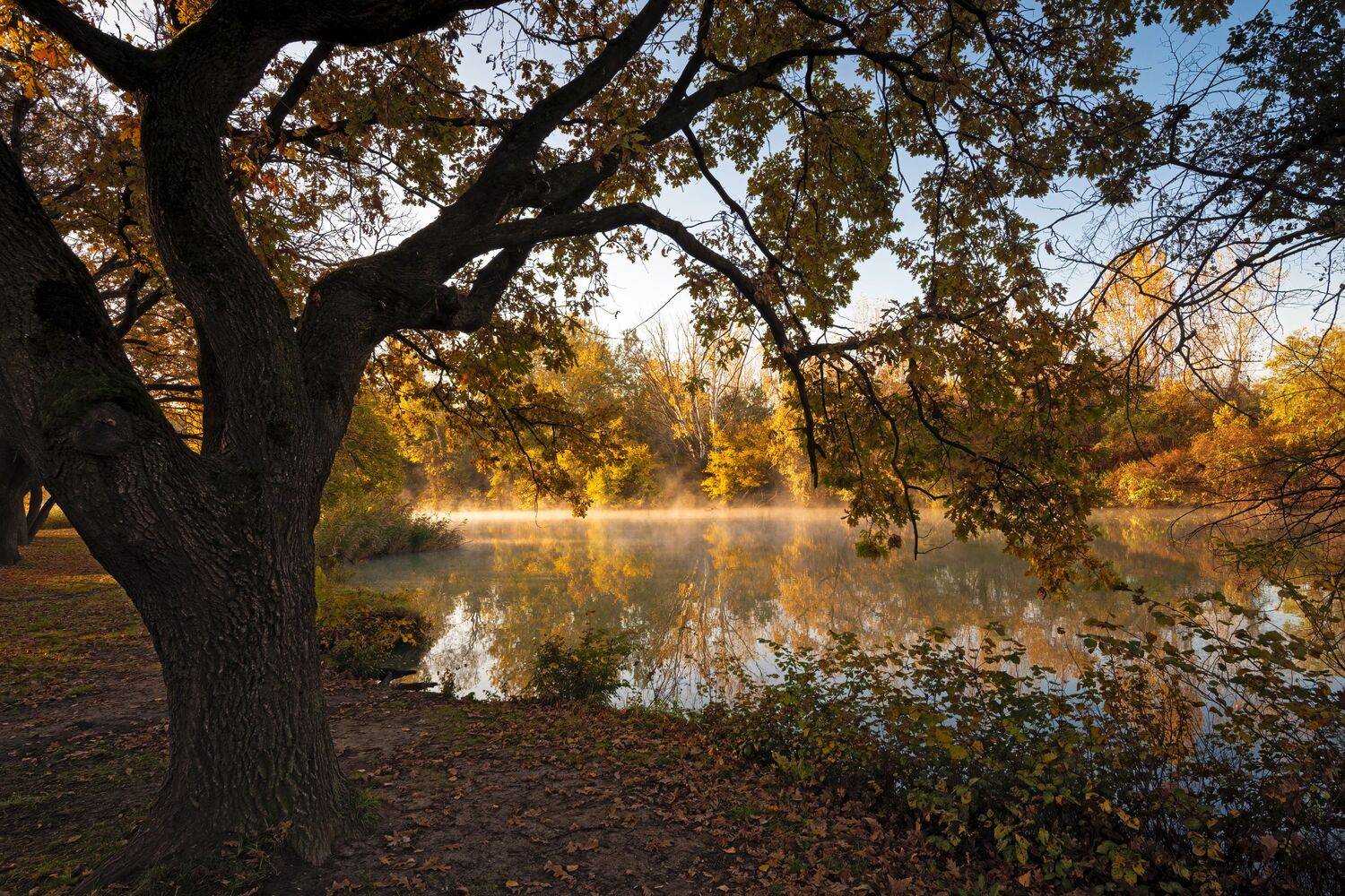 утро, река, Алексей Рыльский