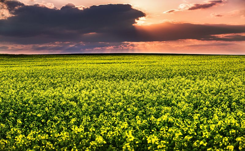 +++ фото превью