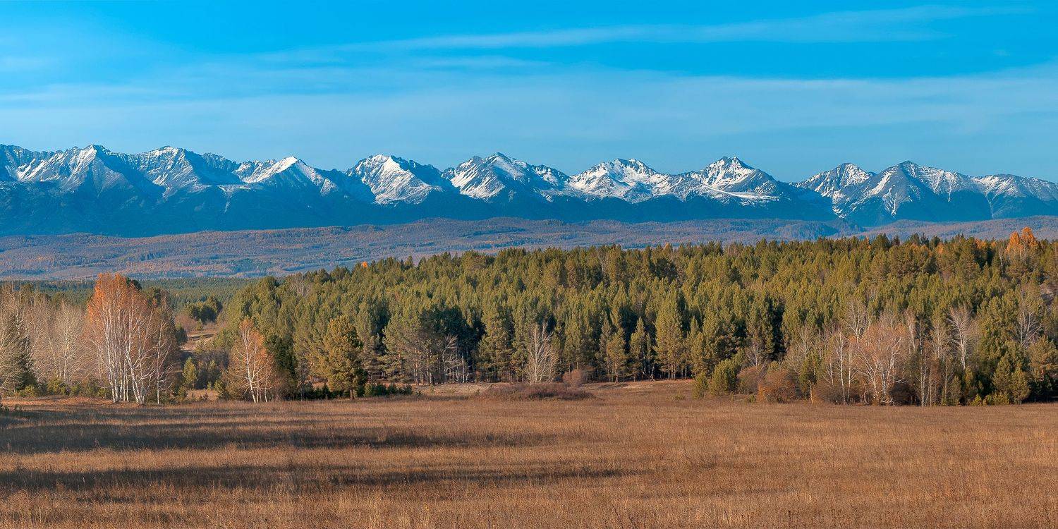 , Грищенко Ирина
