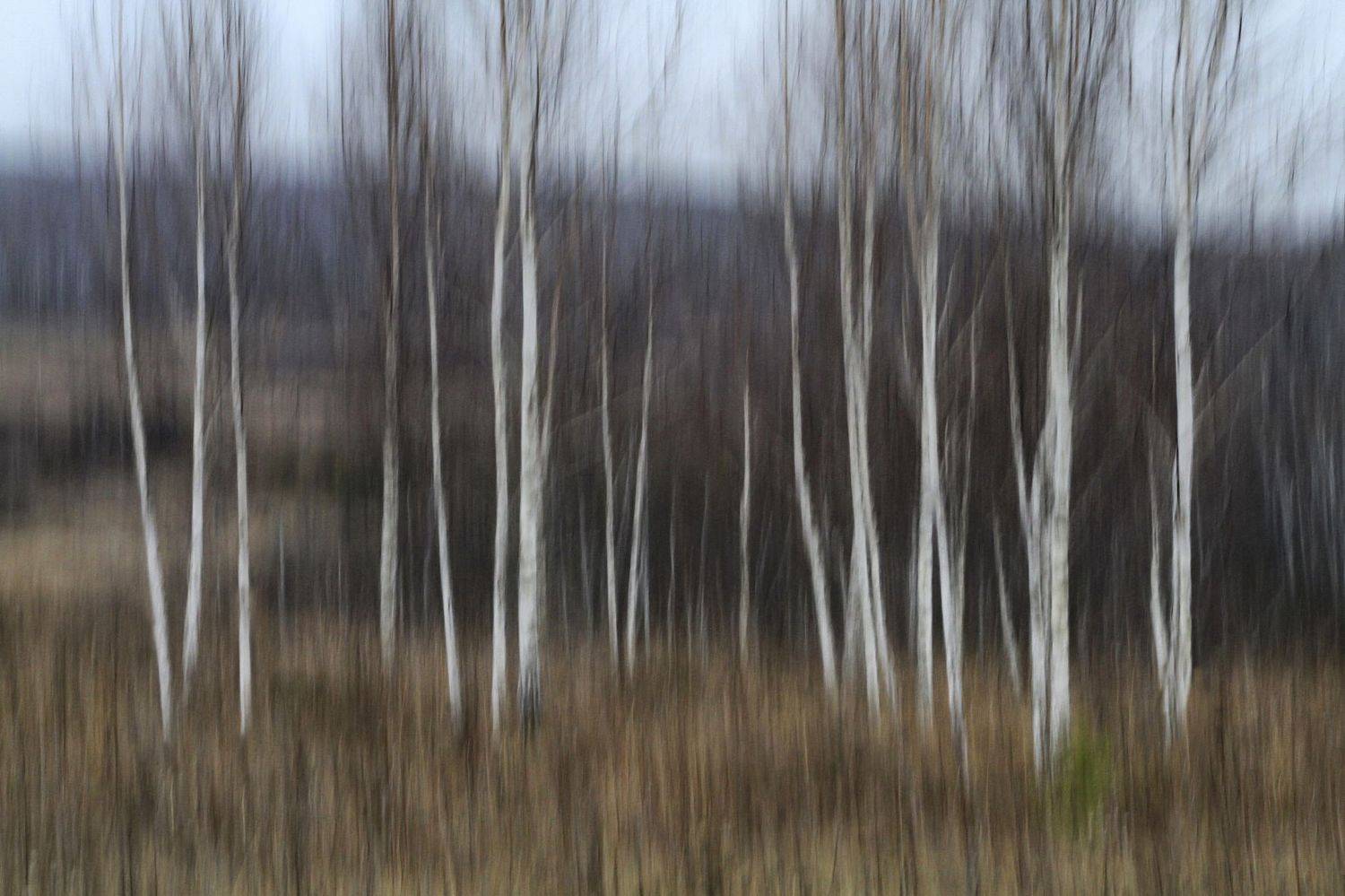 , Гагик Мхитарян