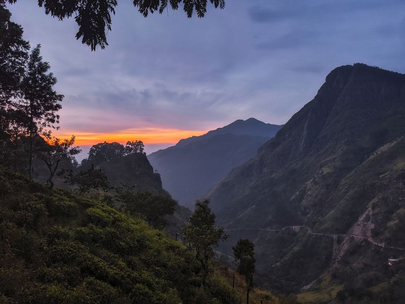 мобильная фотография, mobile photography, природа, пейзаж, sri lanka, nature, landscape Предрассветное фото превью
