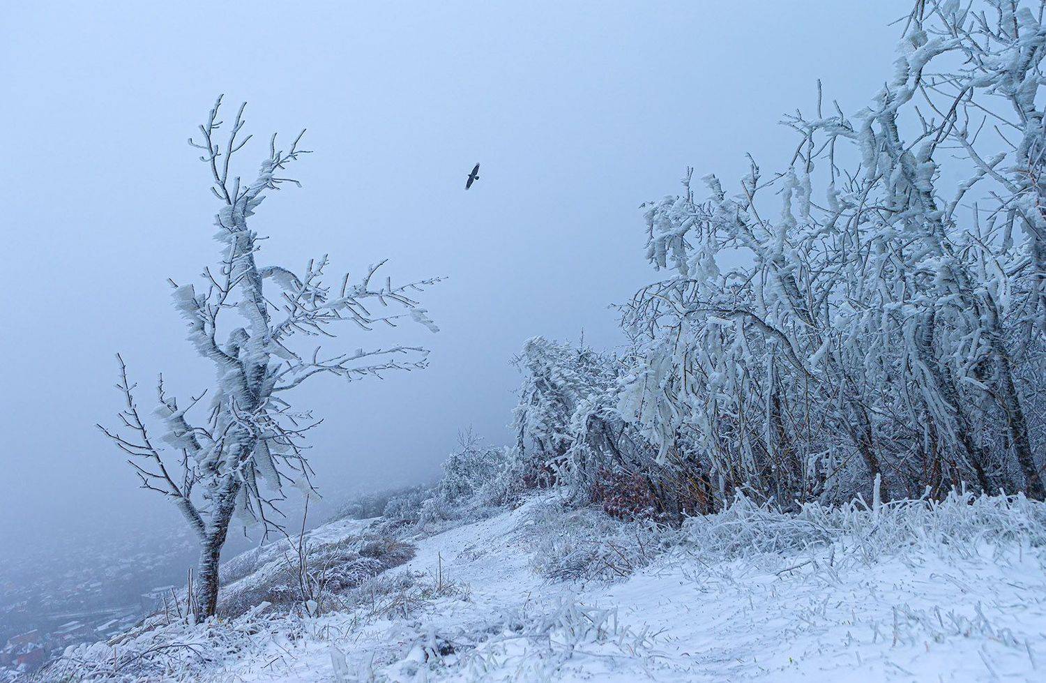 , Анатолий Макоедов