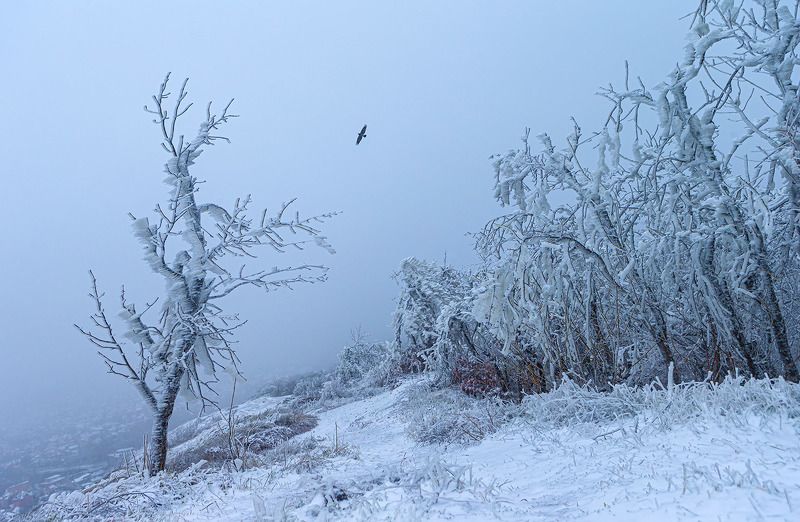 Встретились два одиночества фото превью