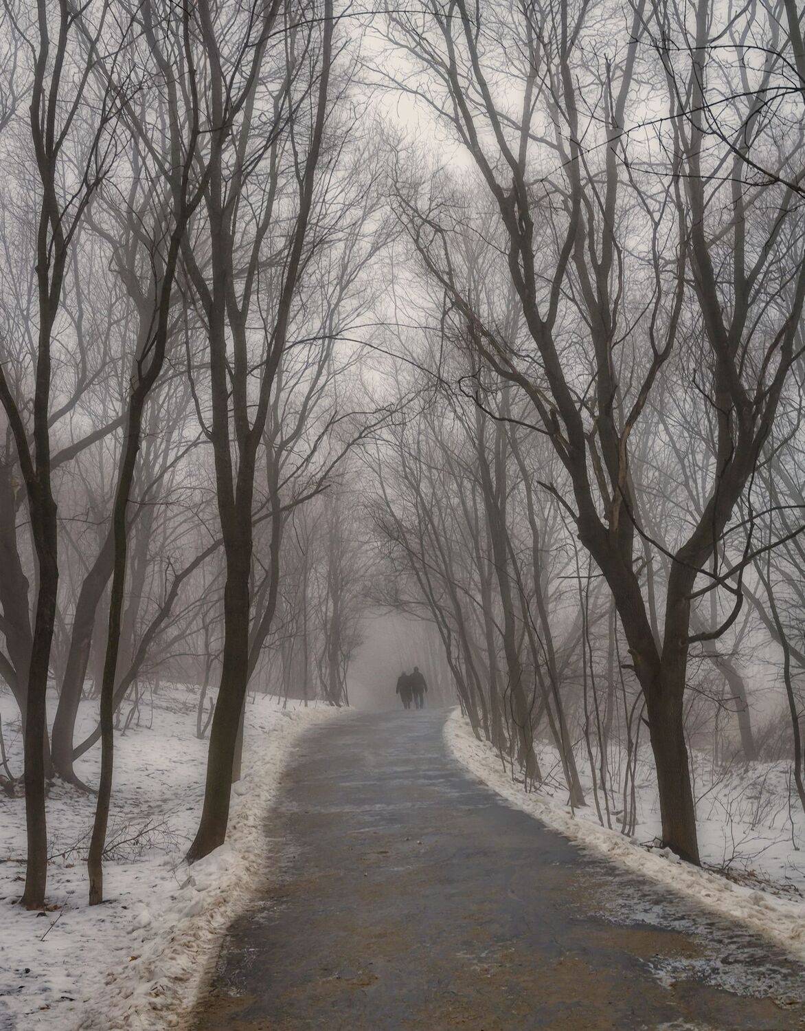 , Максим Подосинников