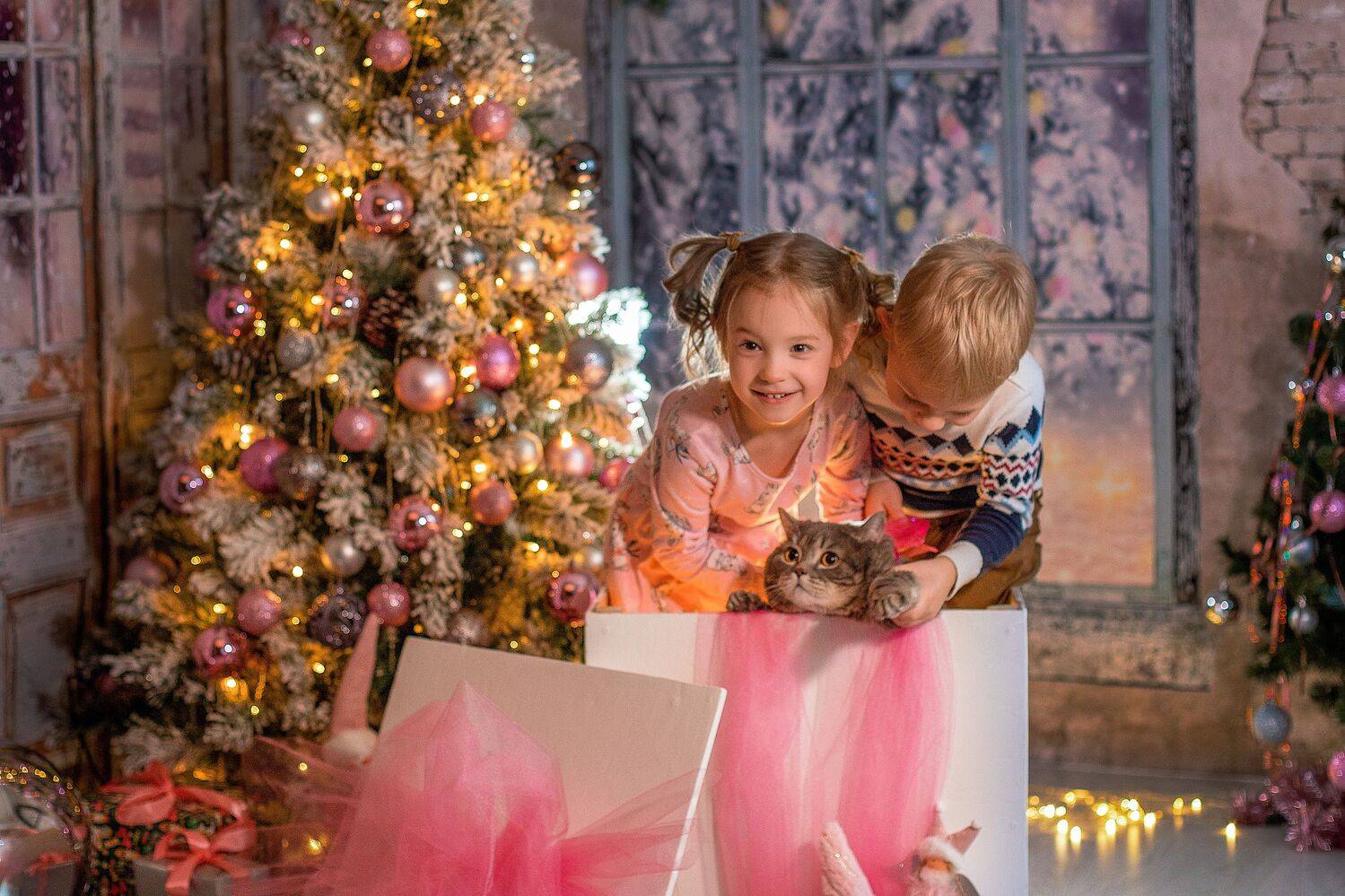 , Ирина Ларина