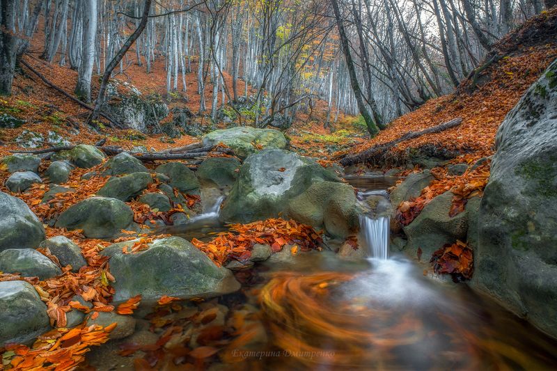 Последнее дыхание осени фото превью