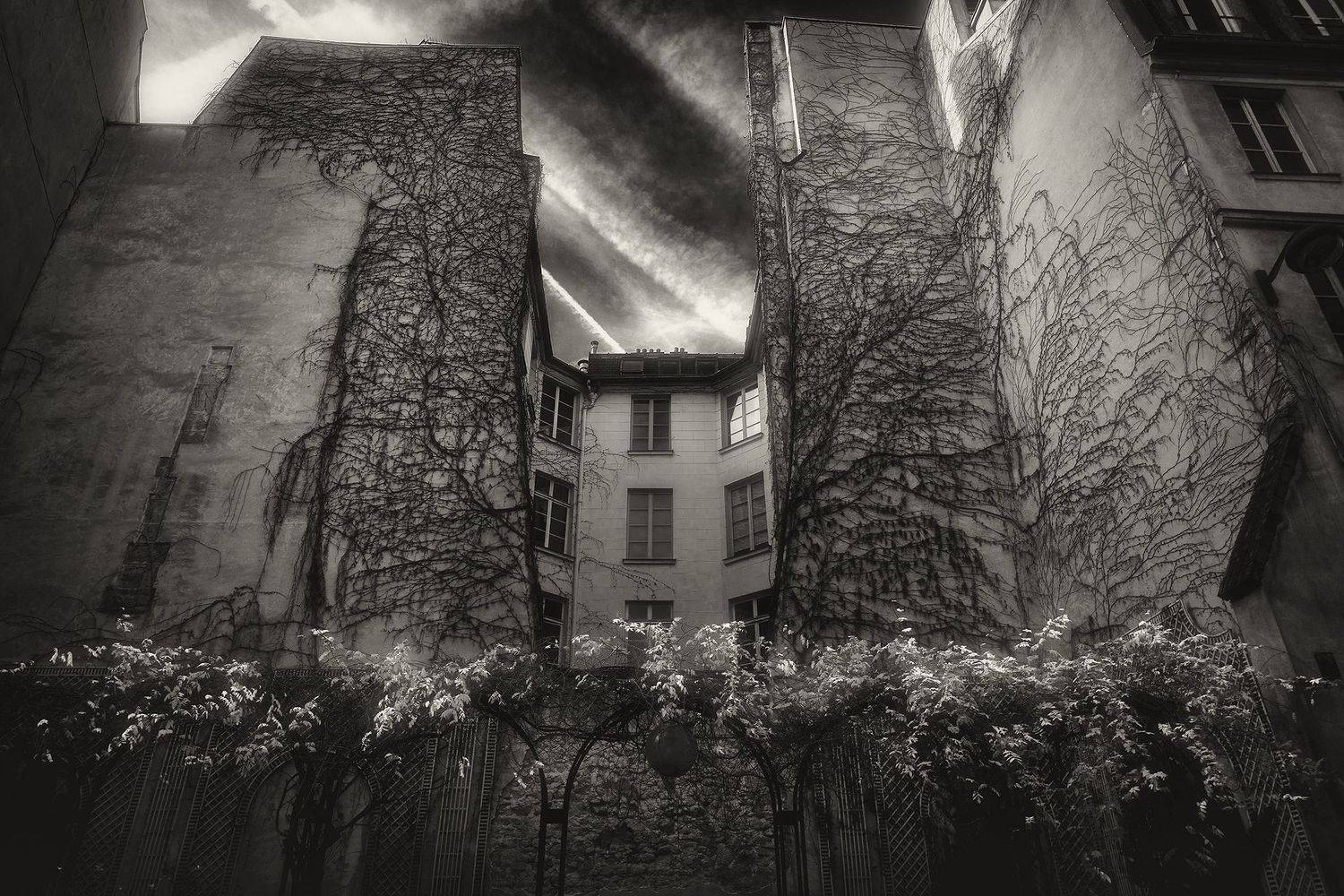 , Усманов Рашид