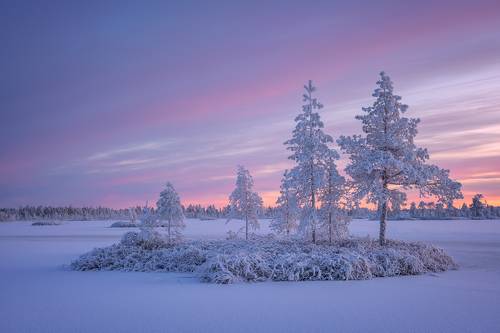 Мороженое с вареньем...