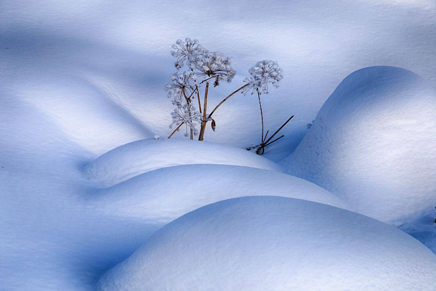 кыргызстан, ак-тюз, Элина Магалимова