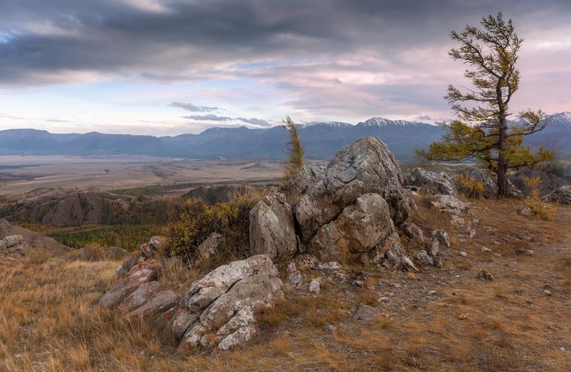 *** фото превью