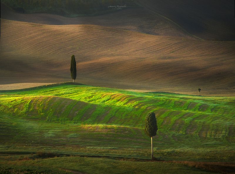 Trójka  фото превью
