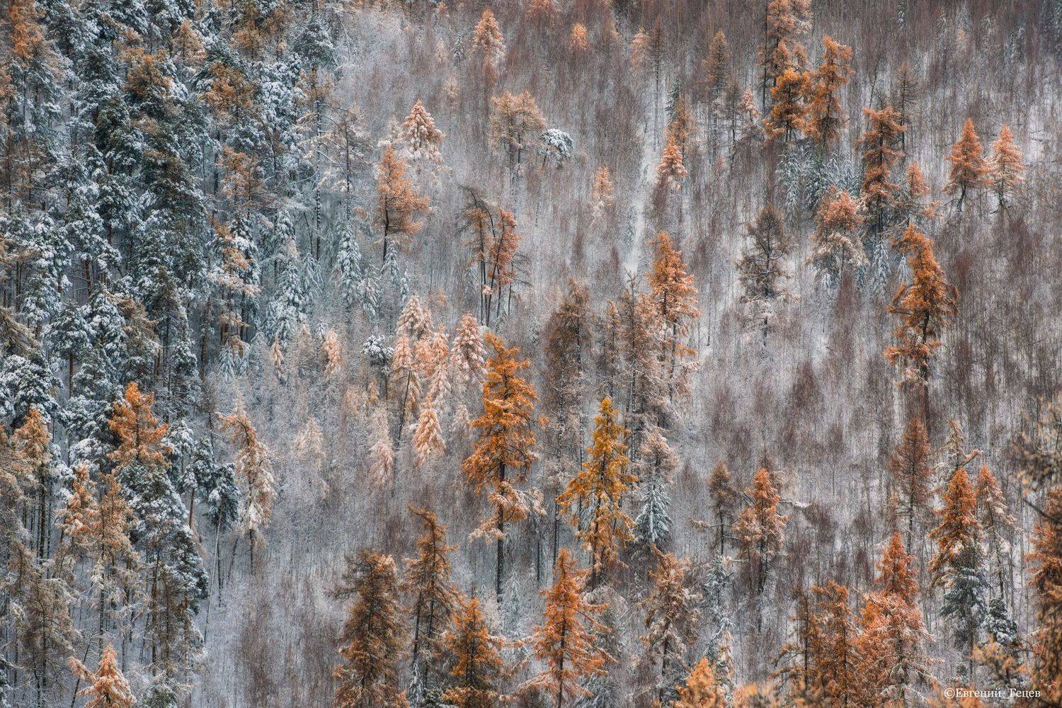 россия, пейзаж, горы, урал, зима, снег, Евгений Гецев