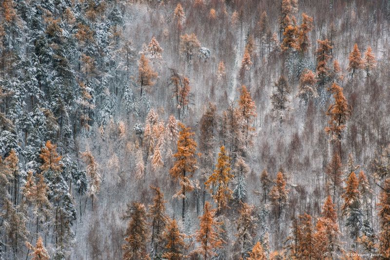 Предзимье фото превью