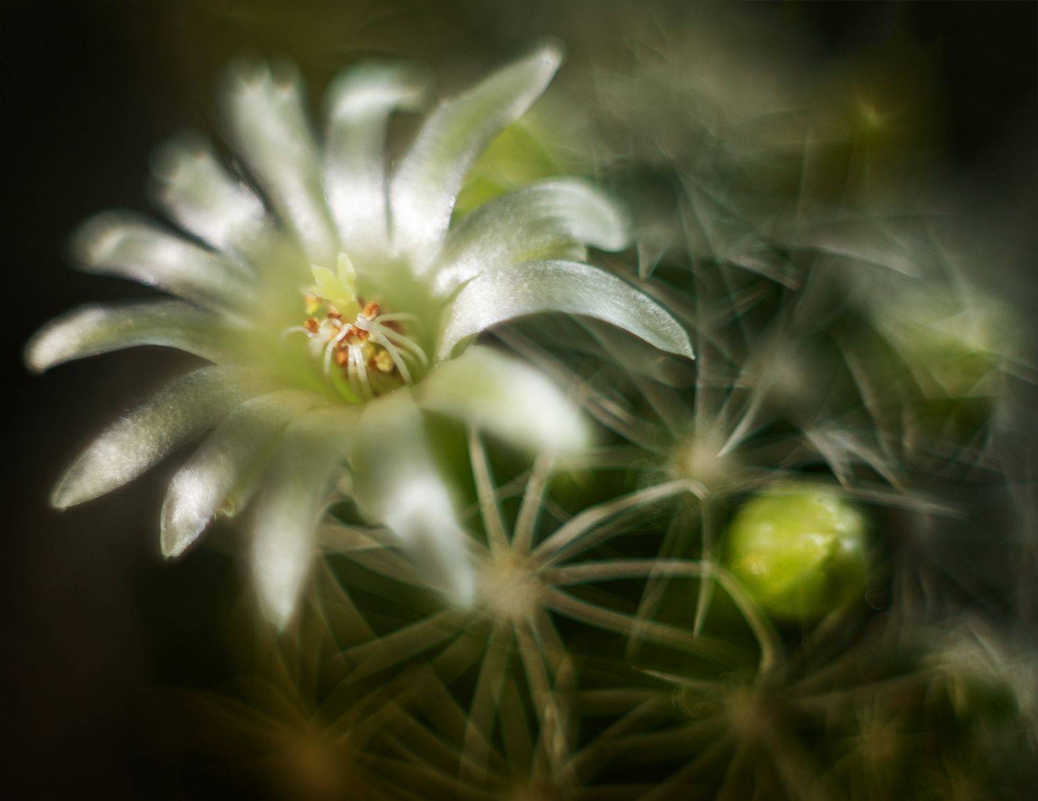 , Андреев Николай