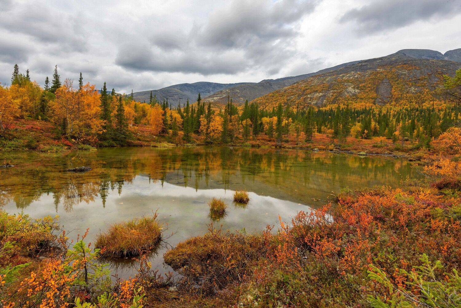 , Владимир Брагилевский