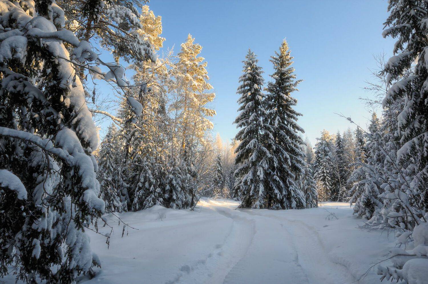, Анатолий Гулин