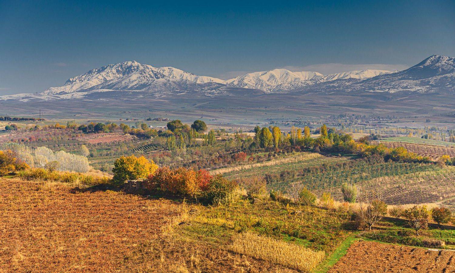 узбекистан, uzbekistan, тянь-шань, Исаков Дмитрий