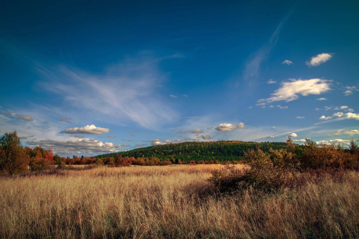 , Покровский Алексей
