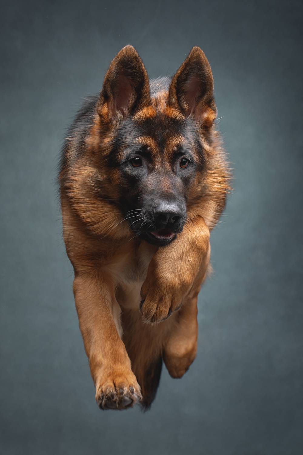 , Светлана Писарева