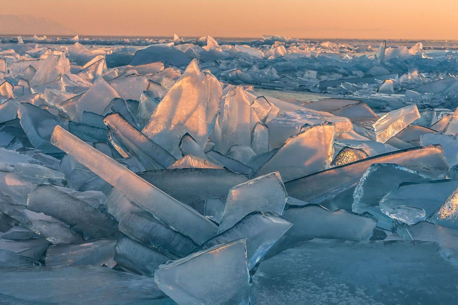 , Грищенко Ирина