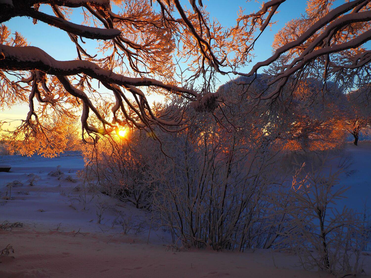 , Перешеин Андрей