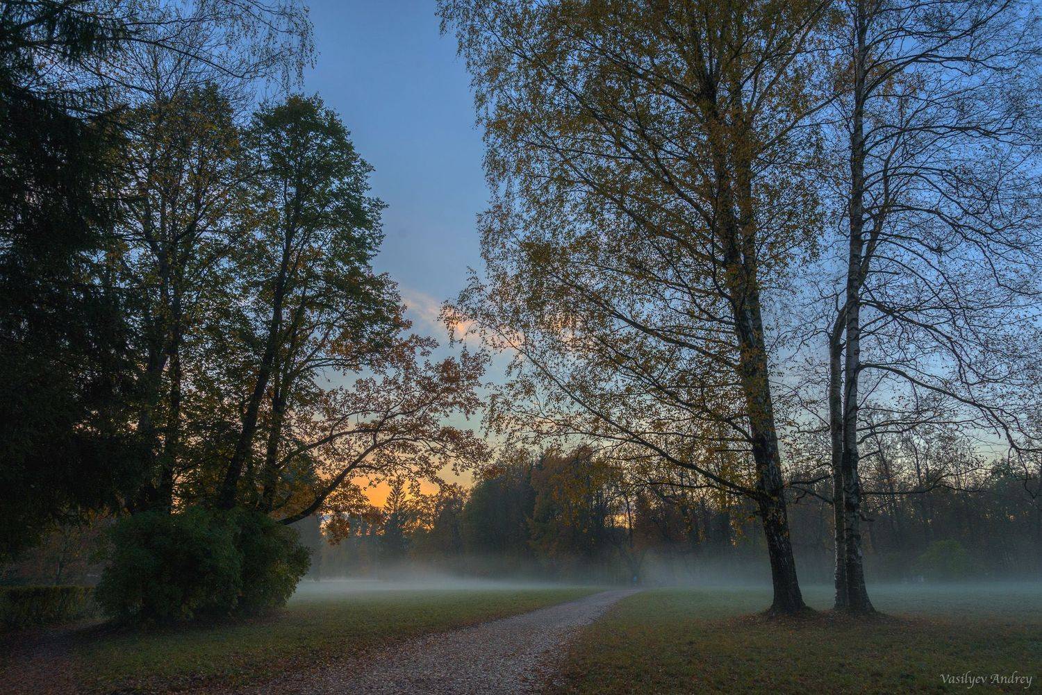 павловский парк, осень, вечер, Vasilyev Andrey
