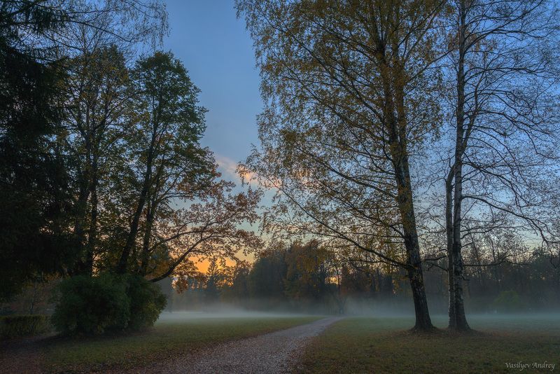 павловский парк, осень, вечер После дождя фото превью