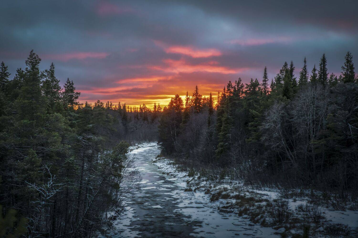 Кольский полуостров, Гусева Елена