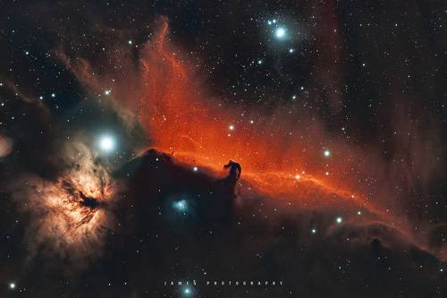 Horse head and Flame Nebula