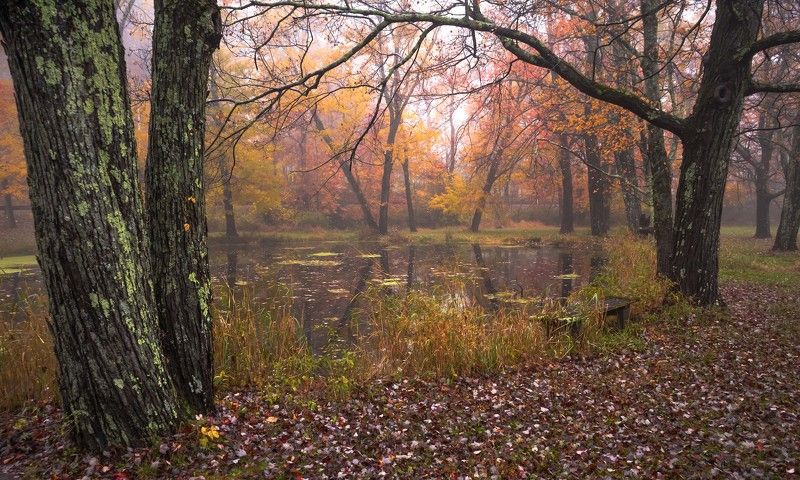 Довольно скучная пора... фото превью