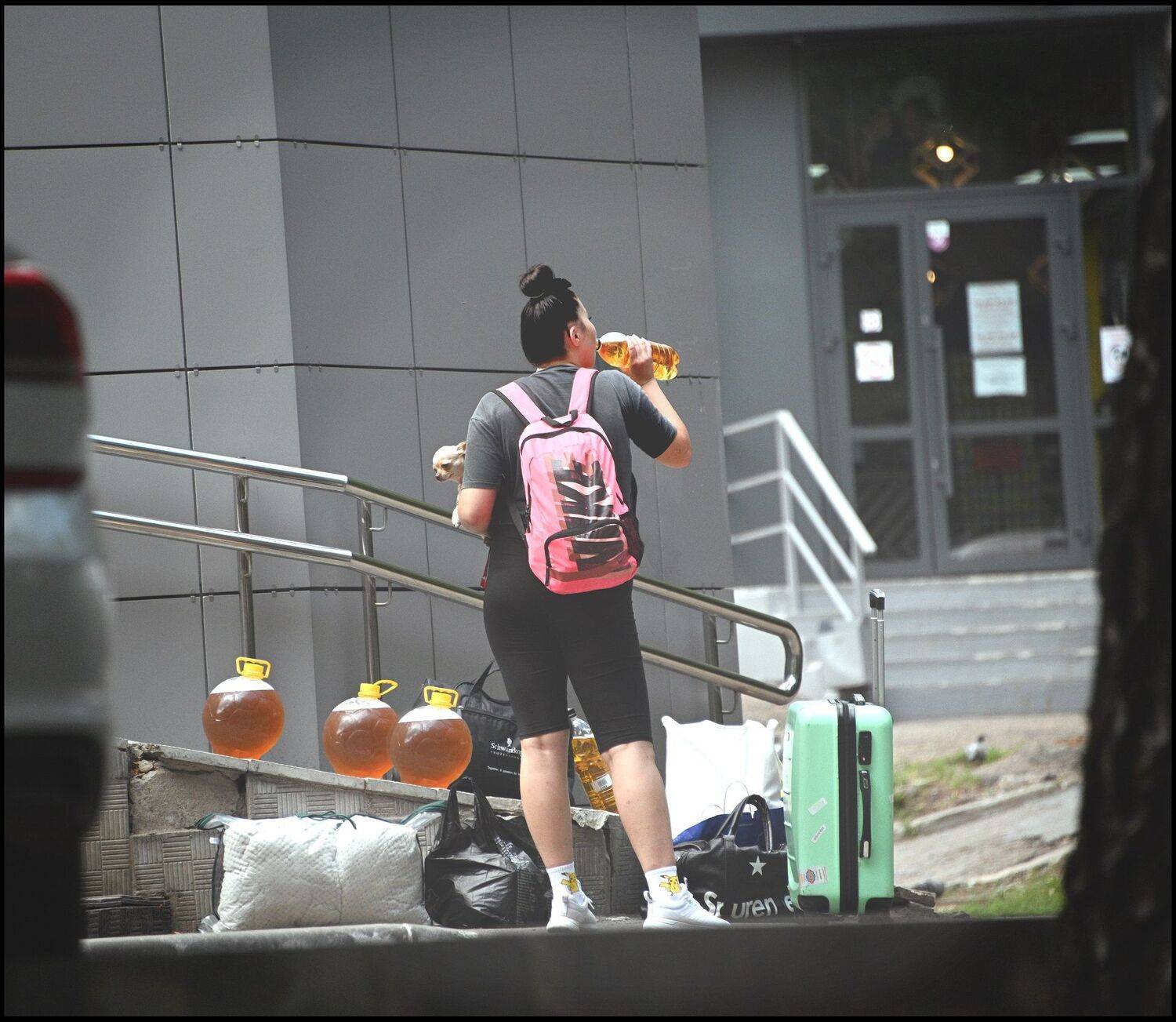 , Меднов Влад