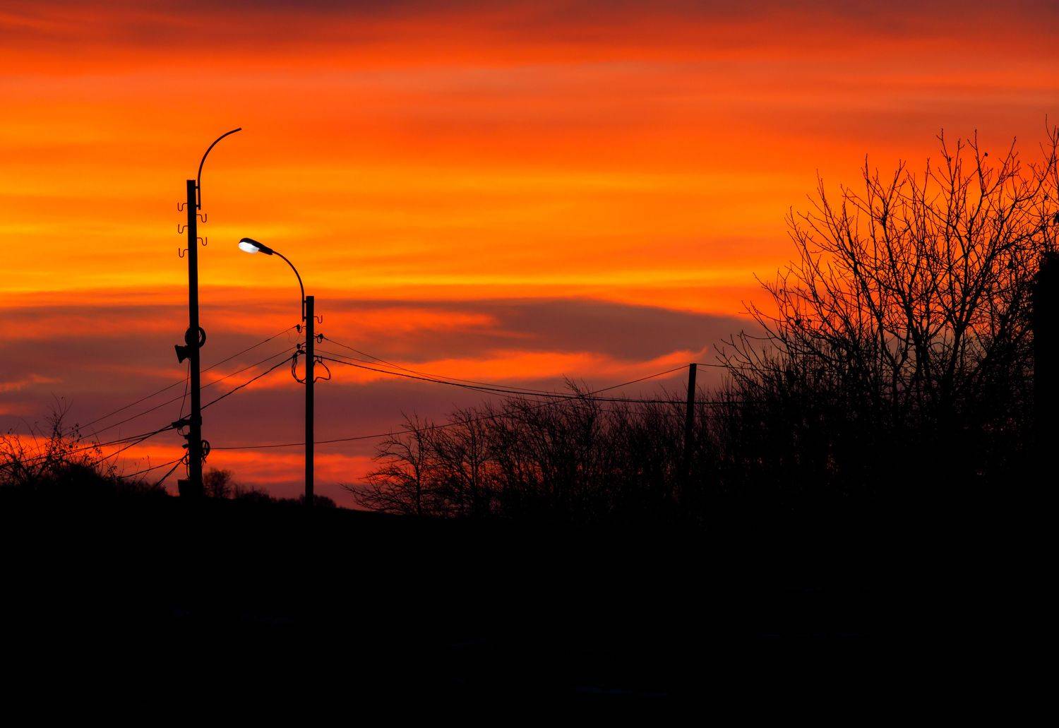 dawn, Teymur Mammadov