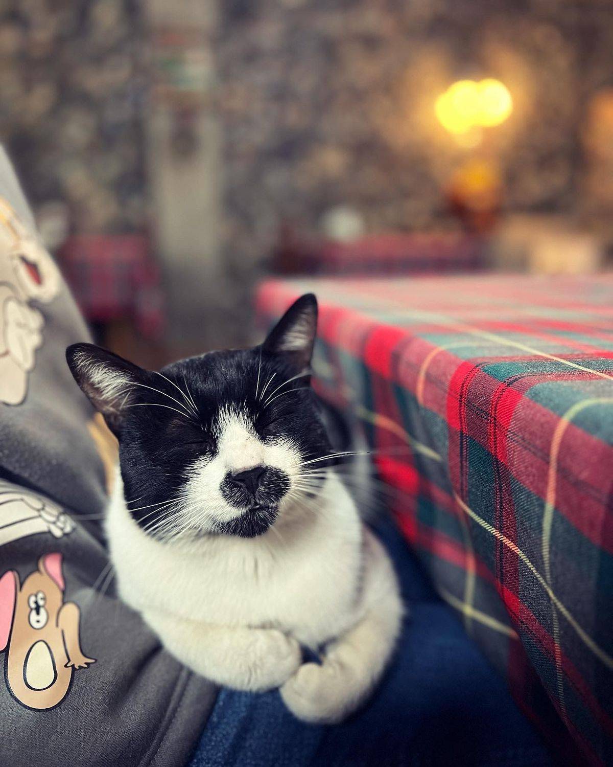 , Куликова Ирина