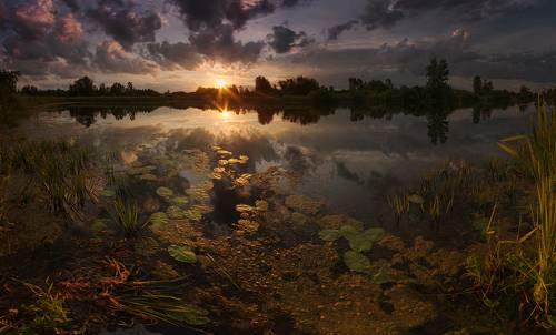 В свете летнего утра