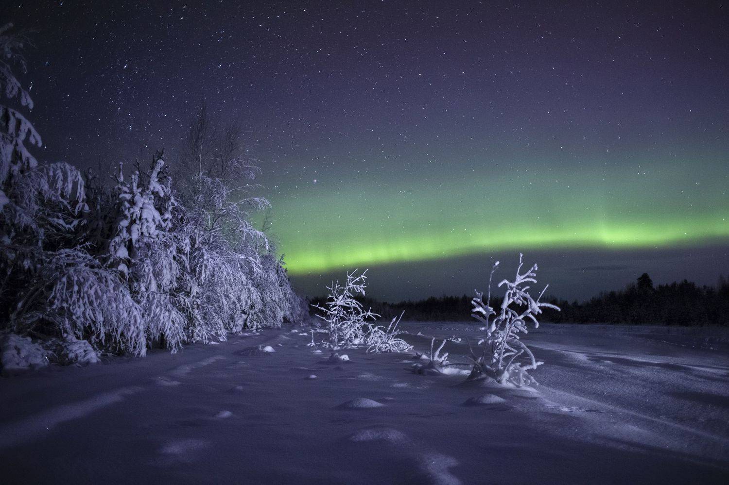 , Татьяна Борисова